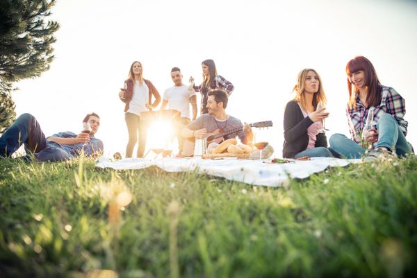 گروهی از دوستان که در یک روز آفتابی در یک پارک حضور دارند افرادی که در حال پختن هستند لذت می برند در حالی که کباب شده و آرامش بخش هستند