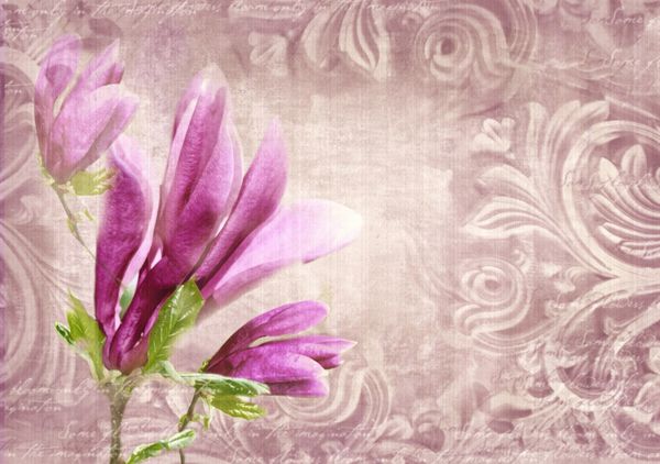 دیوار عتیقه در سبک گرانج با گل سرخ پایتخت فریزر و گل مگنولیا چهره های هنری دکو بر روی سنگ به عنوان دکوراسیون در یک ساختمان نما بریده می شود قطعه ای از تزیین حجاب با گل مگنولیا