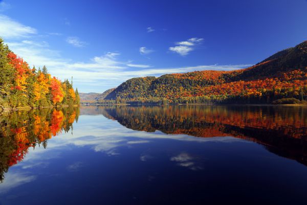 جنگل پاییز در آب منعکس شده است صبح پاییز رنگارنگ در کوه صبح پاییز رنگارنگ در دریاچه کوه چشم انداز پاییزی رنگارنگ پارک ملی مونت ترببلنت کبک پاییز در کانادا