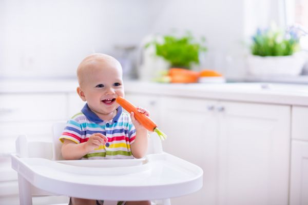 کودک مبارک نشسته در صندلی بالا خوردن هویج در آشپزخانه سفید تغذیه سالم برای بچه ها بیو هویج به عنوان اولین مواد جامد برای نوزاد بچه ها سبزیجات می خورند پسر بچه گزش سبزی خام