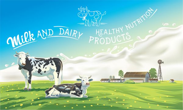 دو گاو در پس زمینه چشم انداز تابستان و چلپ چلوپ از شیر و همچنین عناصر گرافیکی