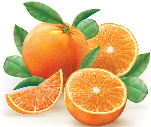 تصویر برداری میوه های تازه پرتقال با برگ