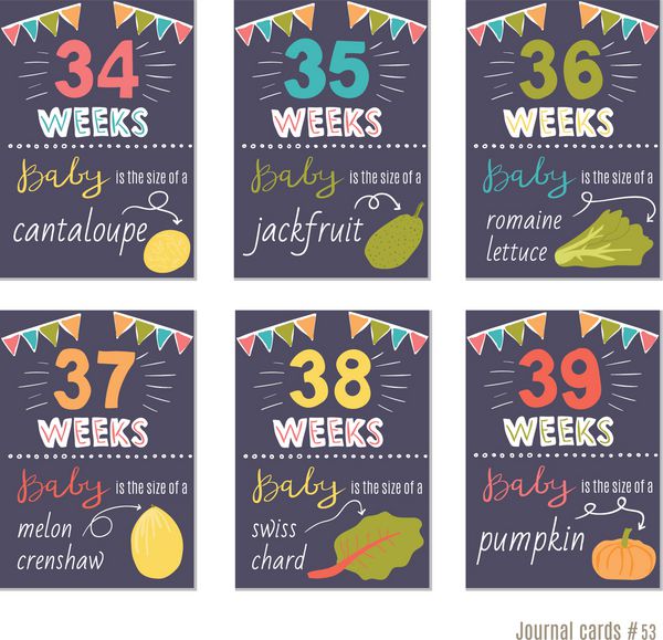 بارداری 34-39 هفته قالب طراحی برداری برای کارت مجله کارت های اسکرابربوکینگ کارت تبریک کارت هدیه الگوهای وبلاگ نویسی کارت برنامهریزی ابله ناز قالب های قابل چاپ