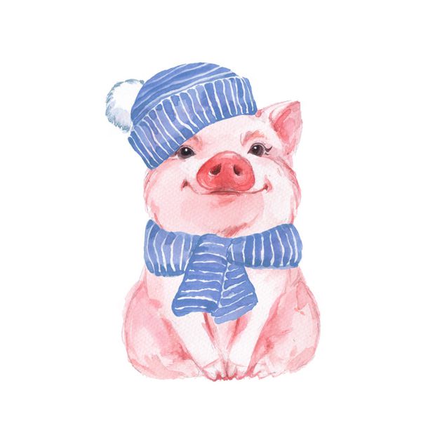 خوک خنده دار در کلاه آبی و روسری تصویر آبرنگ زیبا