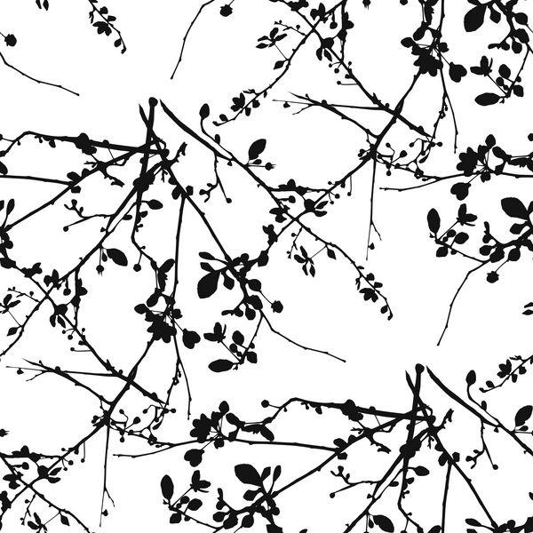 الگوی بردار بدون درز با نقاشی های جوهر شاخه درخت در حال تقسیم با جوانه و برگ سیاه و سفید در پس زمینه سفید