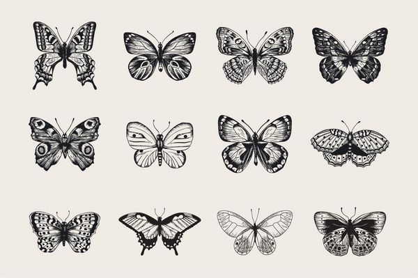 مجموعه پروانه ها تصویر برداری کلاسیک کریسمس سیاه و سفید