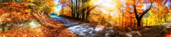 منظره پاییزی پانوراما با جاده کشور در رنگ نارنجی پس زمینه طبیعت