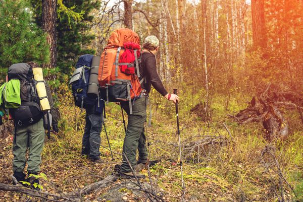 گروهی از دوستان با یک کوله پشتی که مسیر در جنگل کوهستان را می گذراند مفهوم گردشگری فعال اکولوژیکی است