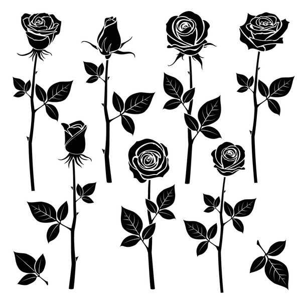 شکلات گل رز نمادهای بردار جوانه بردار سیاه با برگ گل رز طبیعی گل رز