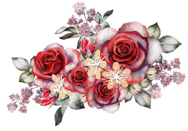 گل های آبرنگ تصویر گل رمانتیک گل رز قرمز شاخه گل جدا شده بر روی زمینه سفید برگ و جوانه دسته گل ترکیب برای عروسی و یا کارت تبریک