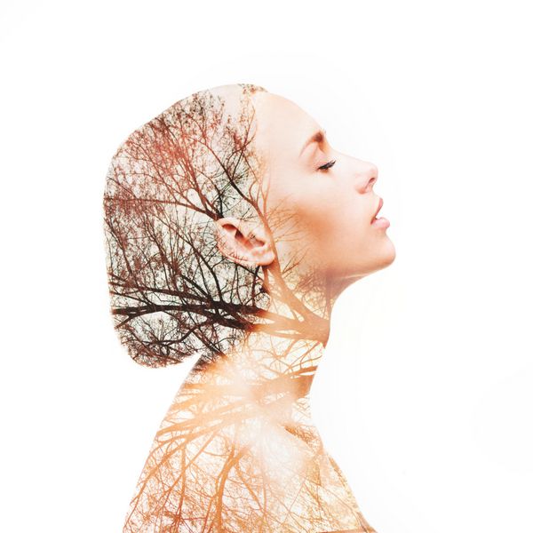 Silhouette زن زیبا جوان با پوست سالم با درخت پاییز ساخته شده در تکنیک قرار گرفتن در معرض دو
