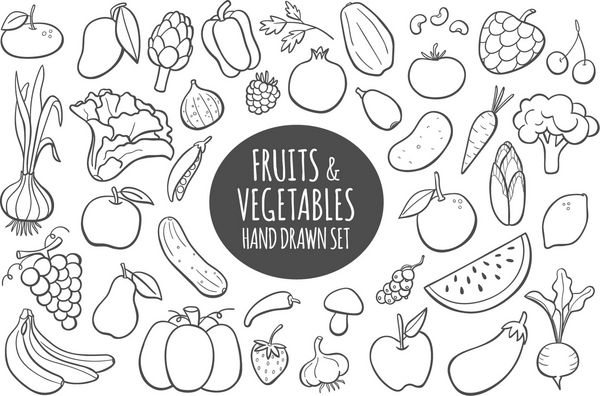 میوه و سبزیجات مجموعه ابله تصویر بردار دست کشیده شده