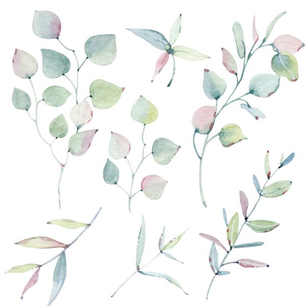 watercolor leaves collection It