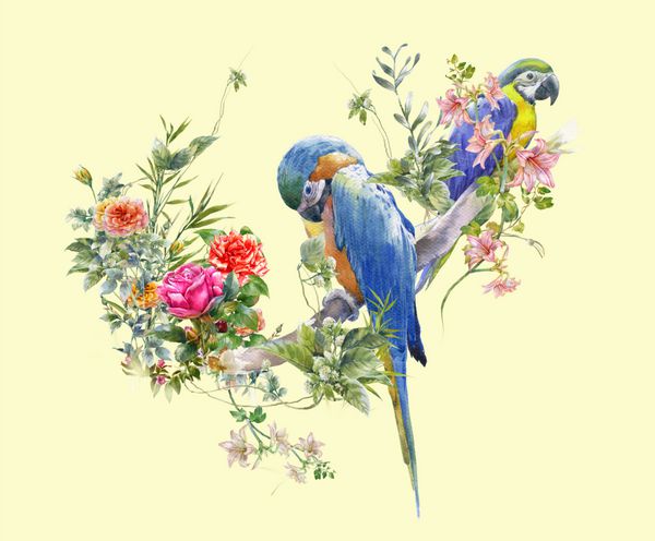 نقاشی آبرنگ با پرنده و گل در پس زمینه کرم