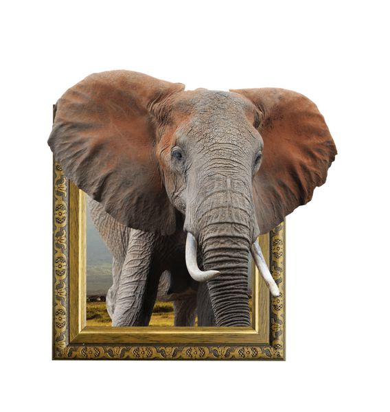 فیل در قاب چوبی قدیمی با اثر سه بعدی