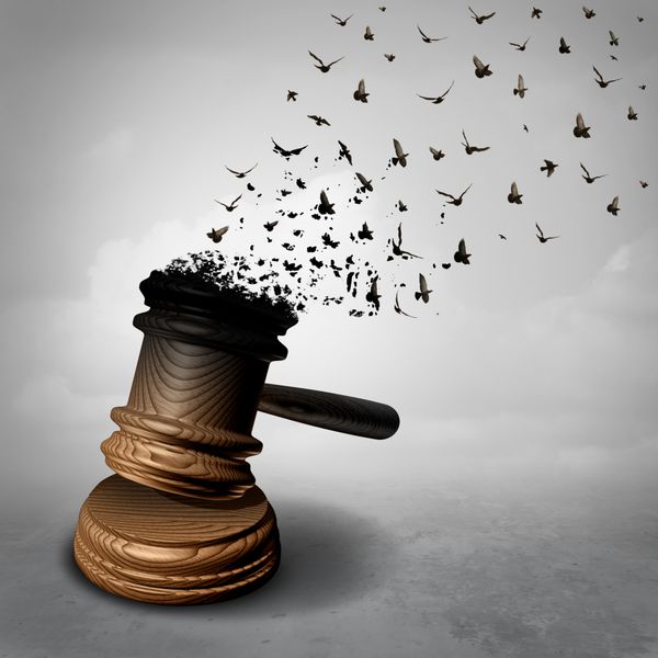 مفهوم عفو و قانون یا عطف قانون برای عفو قانونی به عنوان یک قاضی گاج یا پناهگاهی که به پرنده های پرنده آزاد تبدیل می شود به عنوان یک استعاره عدالت برای تقدیر یا بی عدالتی به عنوان یک تصویر سه بعدی