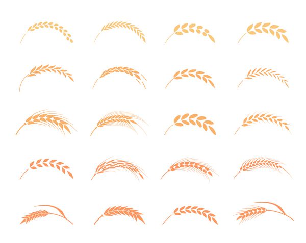 گوش های گندم یا آیکون های برنج تنظیم شده است نماد کشاورزی جدا شده بر روی زمینه سفید عناصر طراحی برای بسته بندی یا برچسب نان