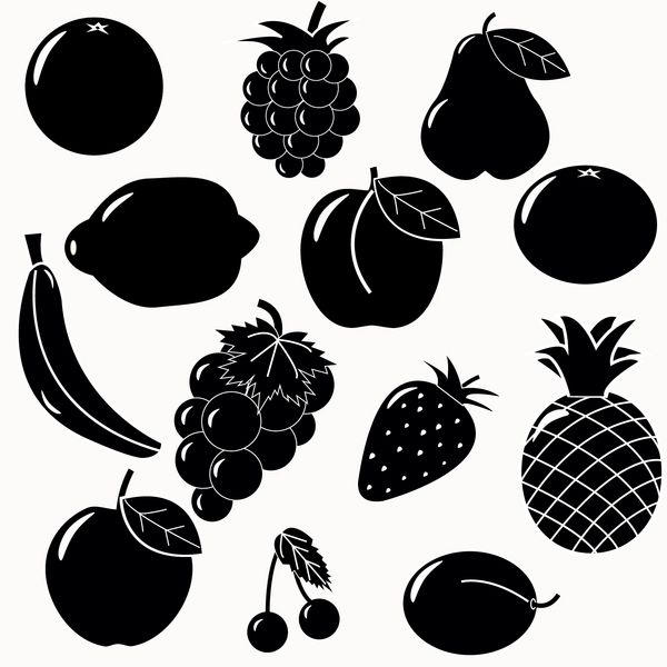 تنظیمات میوه های میوه 13 میوه بردار