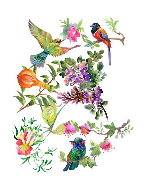 الگوی آبرنگ کشیده شده الگوی رنگی با گل های زیبا و پرندگان در زمینه سفید
