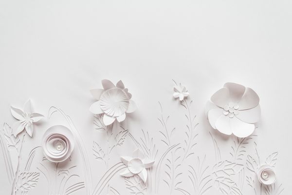 چمنزارهای تابستان تابستان گل های سفید از کاغذ بر روی زمینه سفید حک شده است برش کاغذ