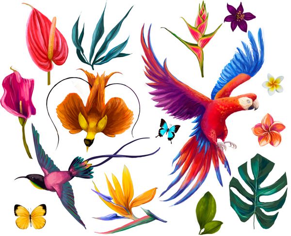 مجموعه ای با پرندگان عجیب و غریب و گل و پروانه