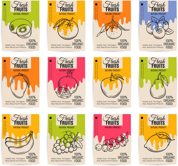 پوسترهای میوه دست ساز وکتور مفهوم غذای سالم مفهوم غذایی برای طراحان بازار مناظر