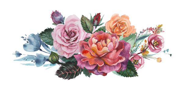 مجموعه ای از گل ها و برگ های گلدار آبرنگ دست نقاشی شده است جدا شده بر روی زمینه سفید
