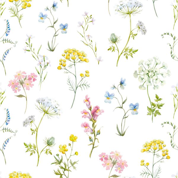 Watercolor floral pattern delicate flower wallpaper wildflowers pinktansy pansies white flowers queen anne