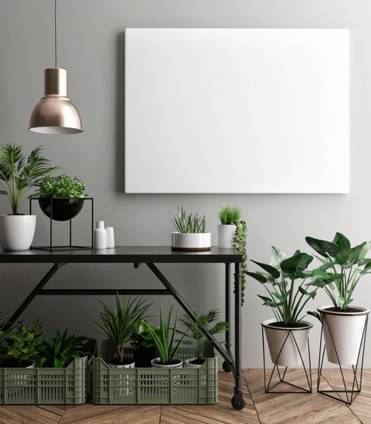 پوستر داخلی با استفاده از قاب خالی و گیاهان در اتاق رندر 3D