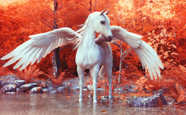 Pegasus افسانه ای در جنگل مسحور مطرح می کند رندر 3d