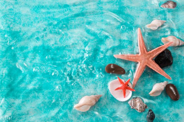 مفهوم تعطیلات با ستاره دریایی دریاها در آب آبی مفهوم تعطیلات تابستانی