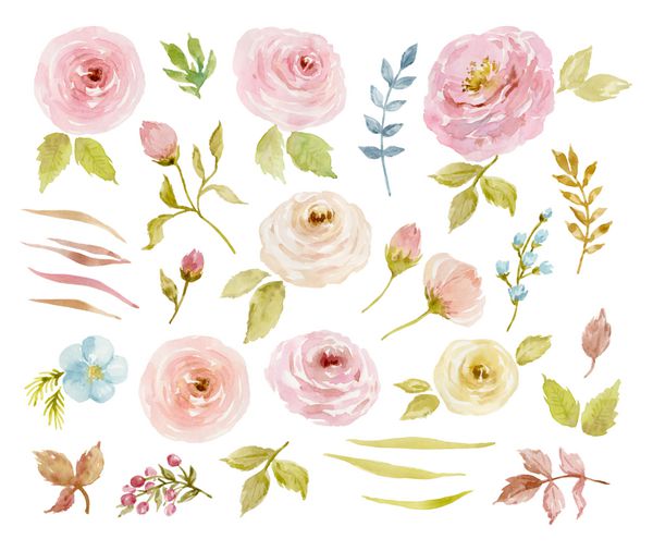 Painted watercolor set of flowers on white background in pastel colors Elements for design Valentine