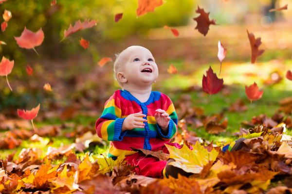 بچه ها در پارک پاییز بازی می کنند کودکان پرتاب برگ های زرد و قرمز بچه با برگ بلوط و افرا شاخ و برگ افتادن سرگرمی در فضای باز در پاییز كودك بچه كوچك يا كودك پيش دبستاني در پاييز