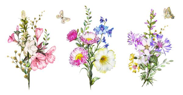 مجموعه آبرنگ گل تصویر گل دسته گل های گیاهی برگ گیاهان ترکیب ناز برای کارت تبریک شاخه گل جدا شده بر روی زمینه سفید با پروانه گیاه شناسی