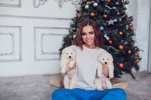 دختر جذاب در یک جلیقه دار توله سگ ها را در آغوش خود در نزدیکی درخت کریسمس نگه می دارد مدل آزمایشگاهی ماکت