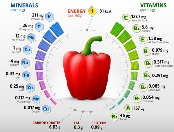 ویتامین ها و مواد معدنی فلفل قرمز Infographics در مورد مواد مغذی در میوه کلم بروکلی تصویر برداری کلاسیک در مورد فلفل ویتامین ها سبزیجات مواد غذایی سالم مواد مغذی رژیم غذایی و غیره