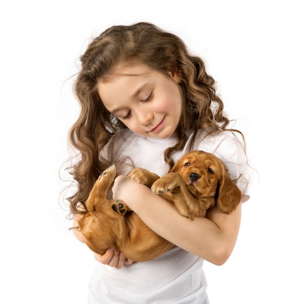 دختر کوچک با توله سگ قرمز جدا شده بر روی زمینه سفید بچه دوست داشتنی حیوانات خانگی