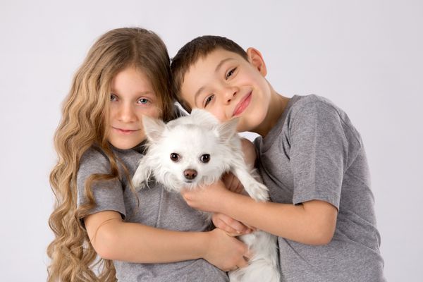 بچه ها با سگ سفید در پس زمینه خاکستری جدا شده است بچه گربه دوست دختر چیهووا