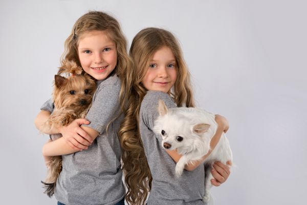 دختران کوچک با سگ های جدا شده در پس زمینه خاکستری بچه دوست داشتنی حیوانات خانگی