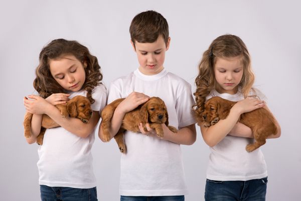 کودکان با توله سگ های قرمز جدا شده بر روی زمینه سفید بچه دوست داشتنی حیوانات خانگی
