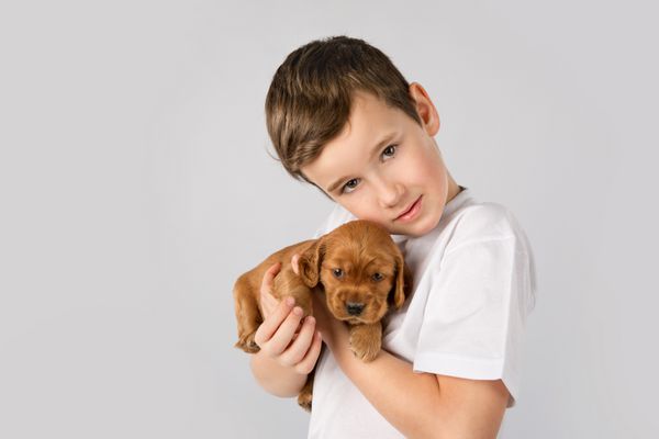 مفهوم دوستدار حیوانات خانگی پسر بچه با توله سگ قرمز جدا شده بر روی زمینه سفید