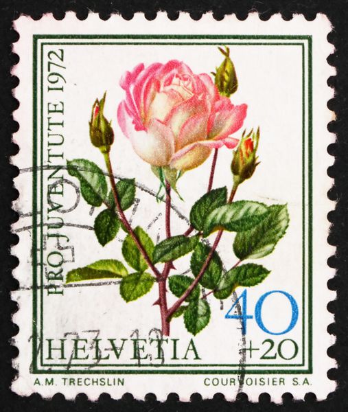 سوئیس حدود 1972 تمبر چاپ شده در سوئیس نشان می دهد رز خانم Dimitriu گیاه گل حدود سال 1972