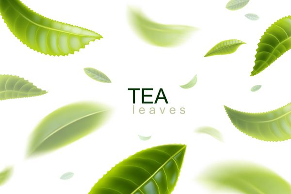 چای سبز چای برگ حرکت کردن در هوا برگ چای در حال حرکت در یک پس زمینه سفید عنصر برای طراحی تبلیغات بسته بندی چای محصولات تصویر بردار