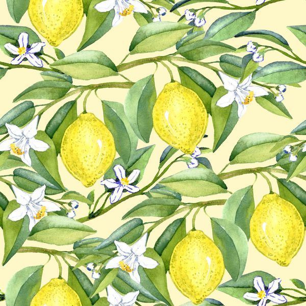 شاخه های لیمو با میوه ها و گل های سفید طراحی الگوی بدون درز آبرنگ دست نقاشی پس زمینه نرم زرد