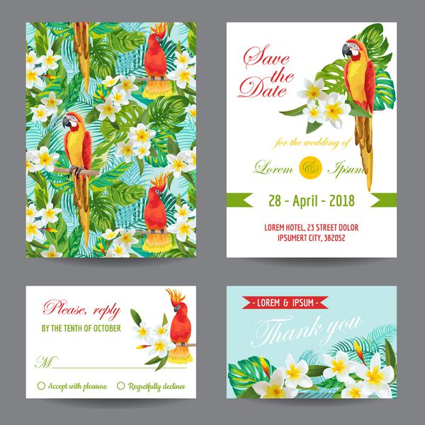 مجموعه کارت دعوت یا کارت تبریک طراحی پرندگان و گل های گرمسیری