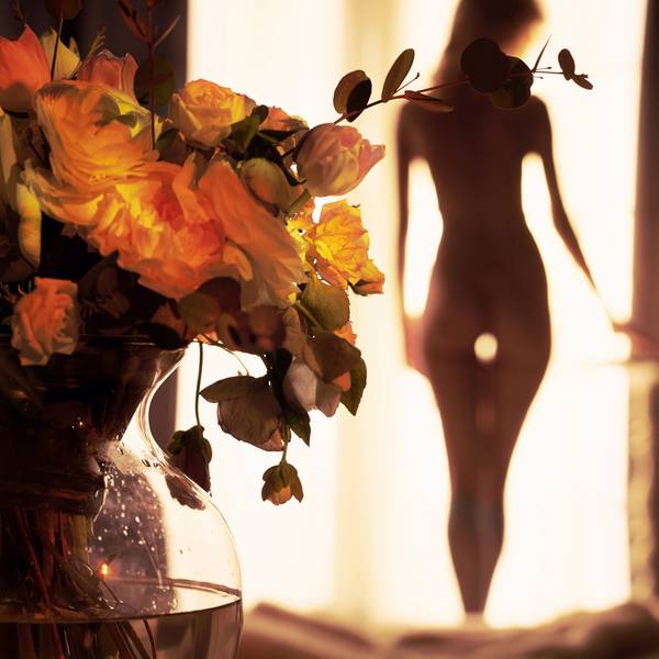 عکس هنر زندگی سبک از زیبا با گل در پنجره داخلی داخلی صبح زیبا دسته گل عطر عطر