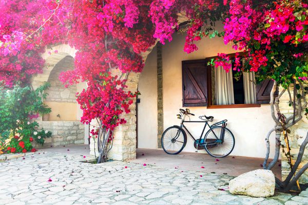 درخت درخت بنفش شکوفه و دوچرخه قدیمی دکوراسیون خیابان های گرمسار
