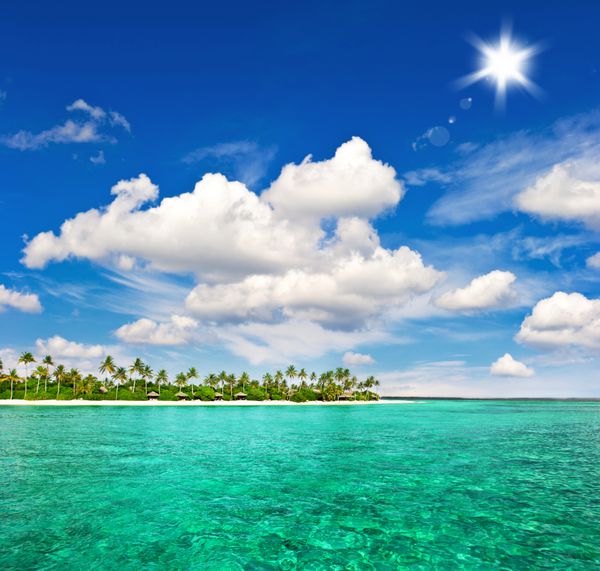 منظره جزیره گرمسیری ساحل با درختان نخل و آسمان آبی آبی
