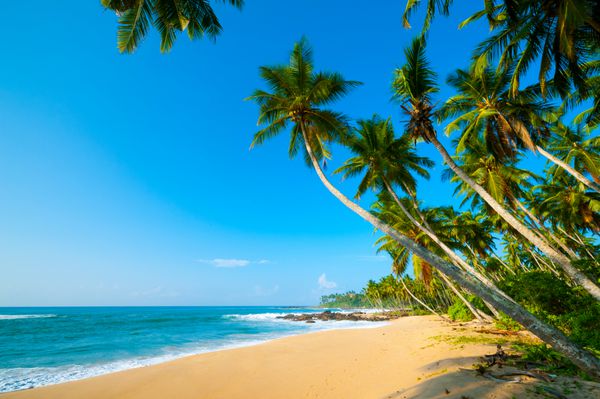 ساحل استوایی ناشناخته در سریلانکا