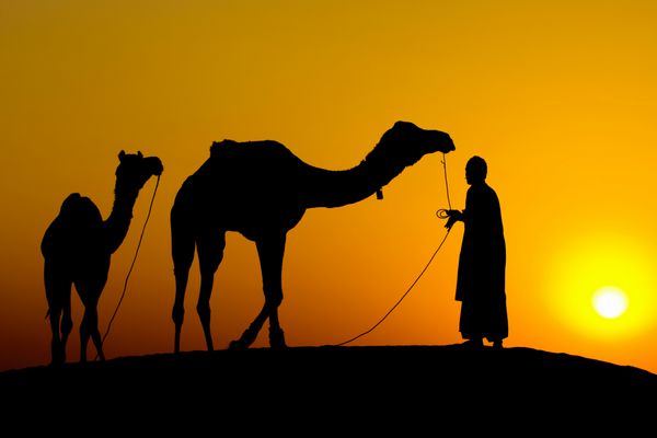 روستای راجستان Silhouette یک مرد و دو شتر در غروب آفتاب در صحرا جیسالمر هند